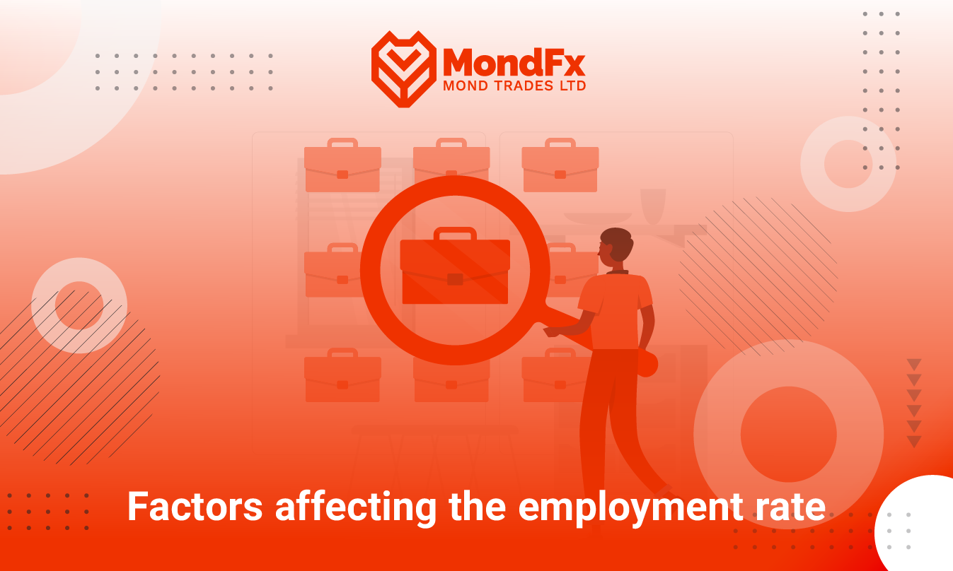 What Is the Employment Rate? Factors Affecting the Employment Rate