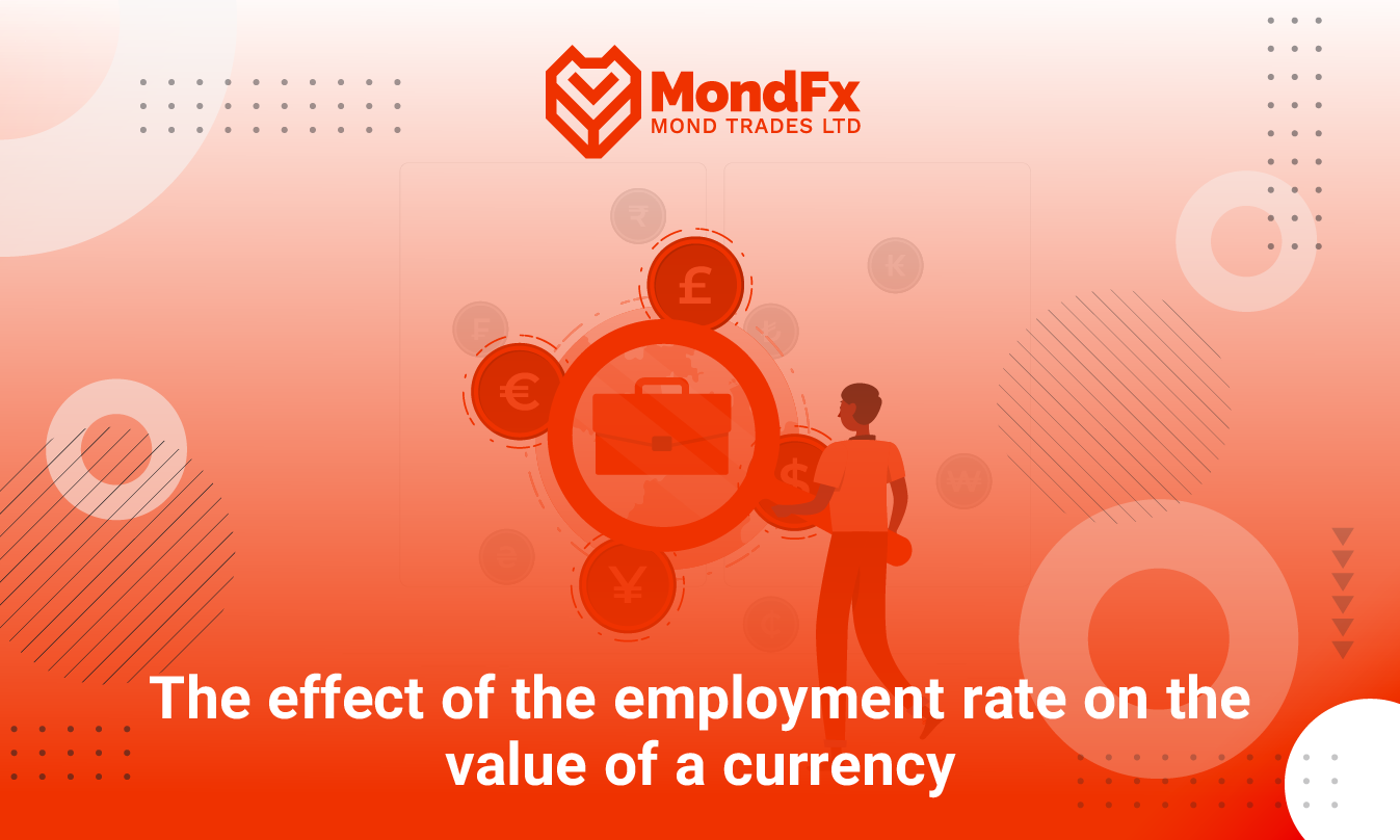 What Is the Employment Rate? The Impact of the Employment Rate on a Currency’s Value